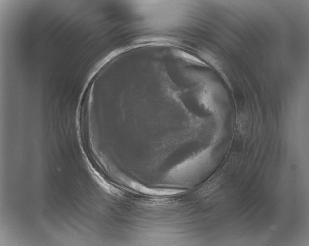 X0000071791482200607150108
