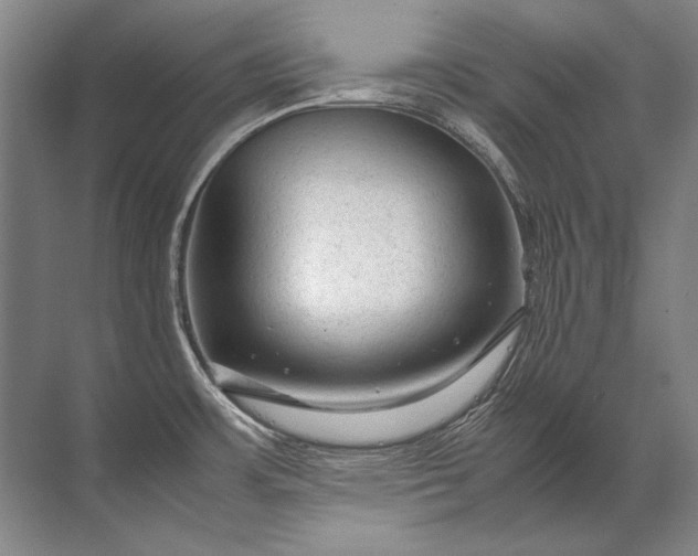 X0000071791483200607150108