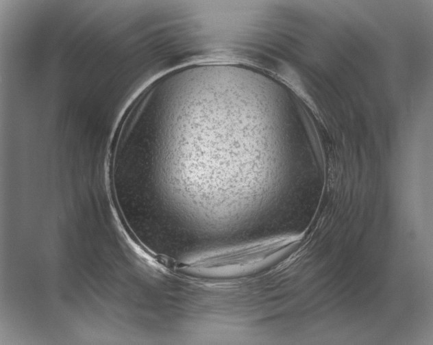X0000071791484200607150108