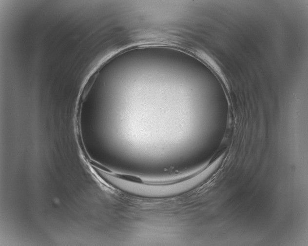 X0000071791485200607150108