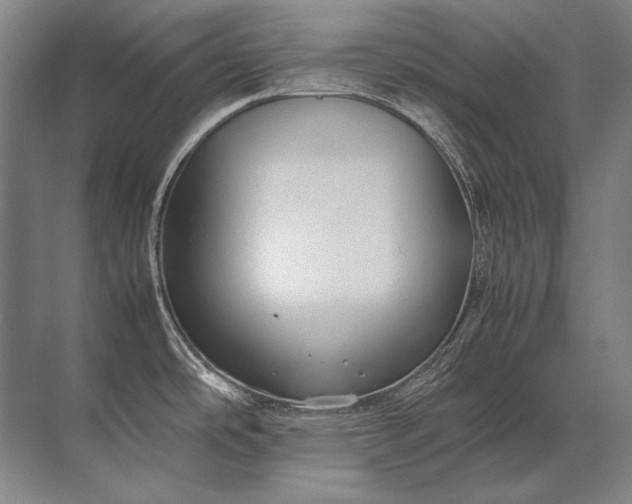 X0000071791486200607150108