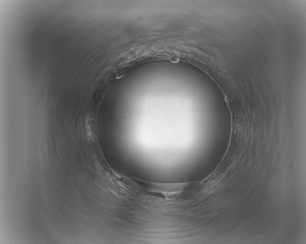 X0000071791490200607150107