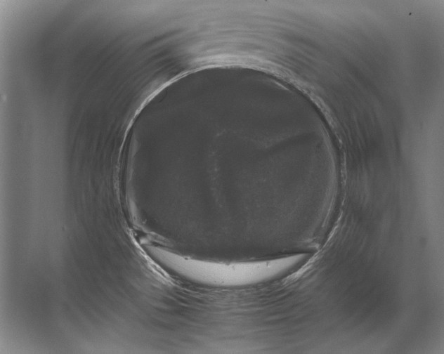 X0000071791529200607150108
