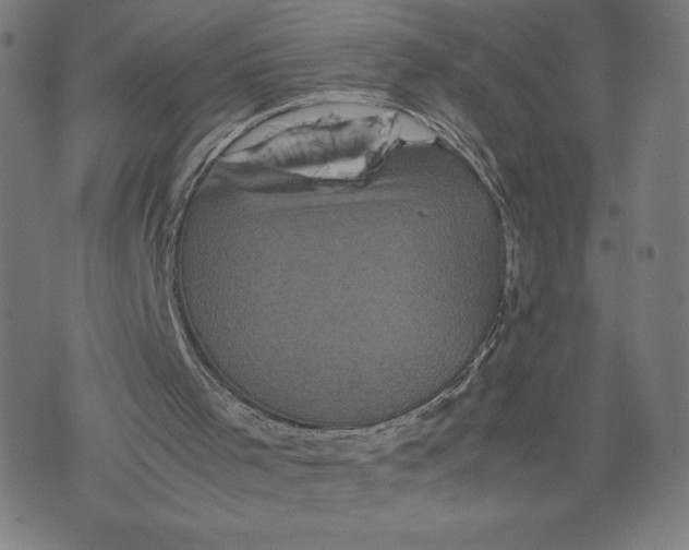 X0000071790001200607211633