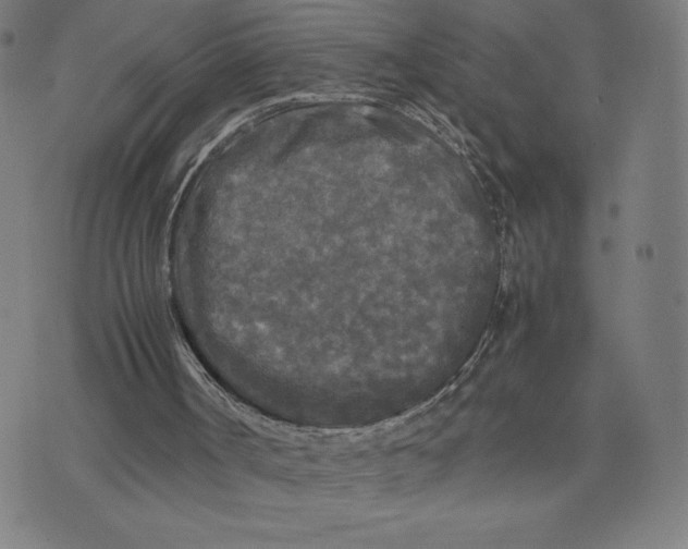 X0000071790002200607211633