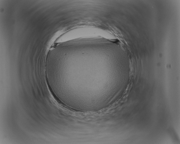 X0000071790003200607211633