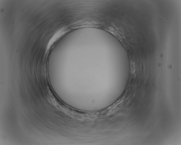 X0000071790004200607211633