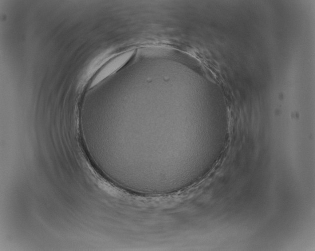 X0000071790005200607211633