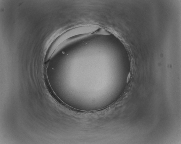 X0000071790007200607211633