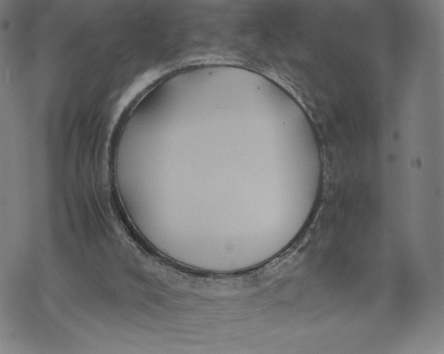 X0000071790008200607211633