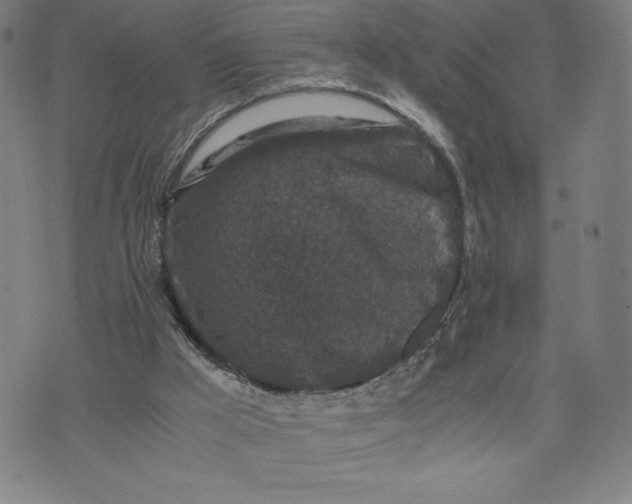 X0000071790009200607211633