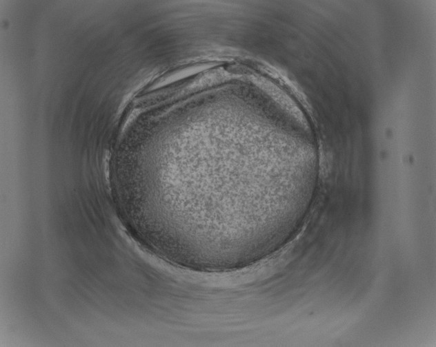 X0000071790010200607211633