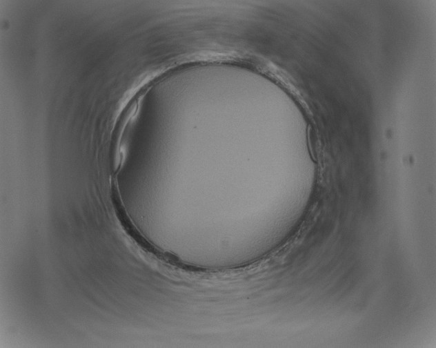 X0000071790011200607211633