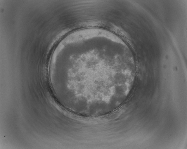 X0000071790012200607211633