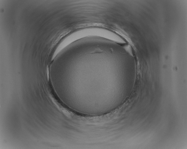 X0000071790013200607211633