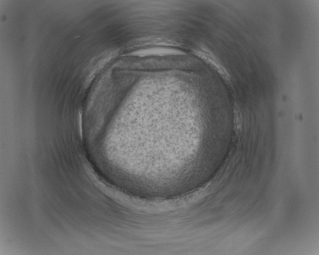 X0000071790014200607211633