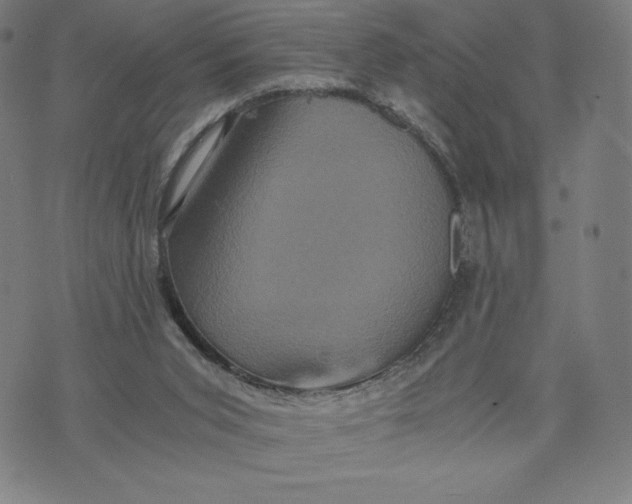 X0000071790015200607211633