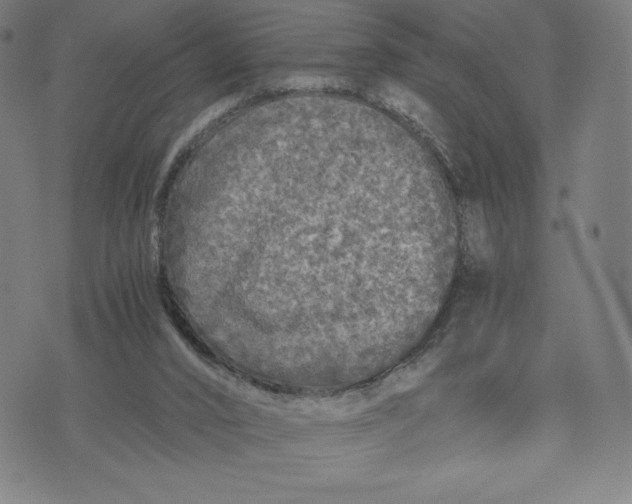 X0000071790016200607211633