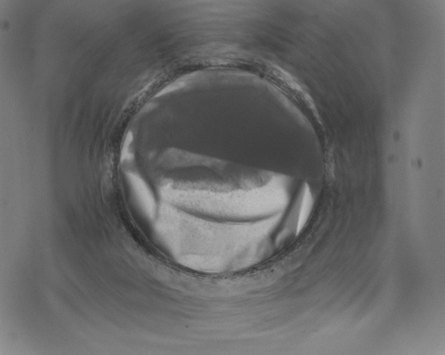 X0000071790018200607211633