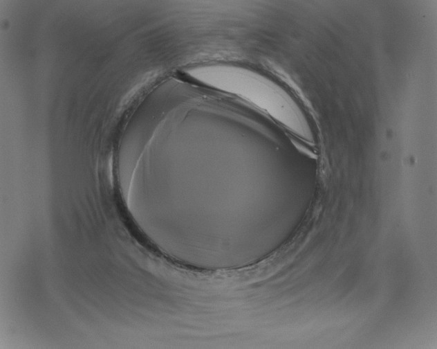 X0000071790019200607211633