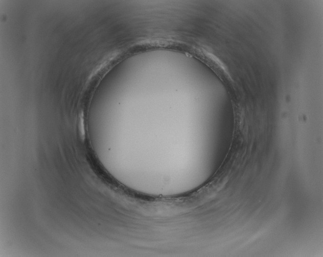 X0000071790020200607211633