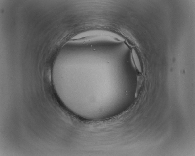 X0000071790021200607211633