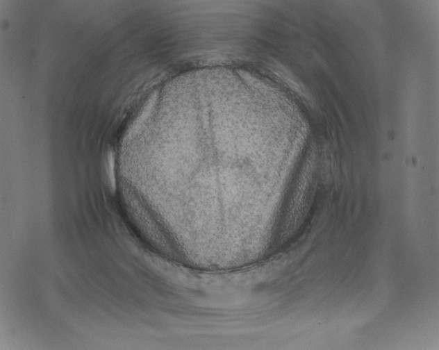 X0000071790022200607211633