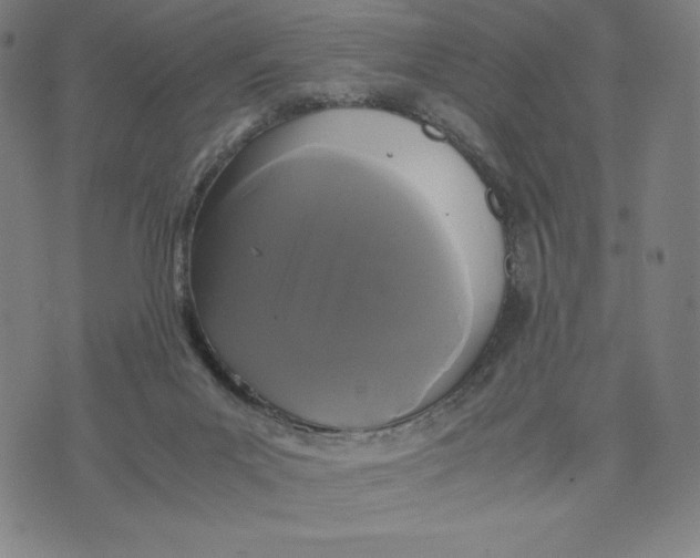 X0000071790023200607211633