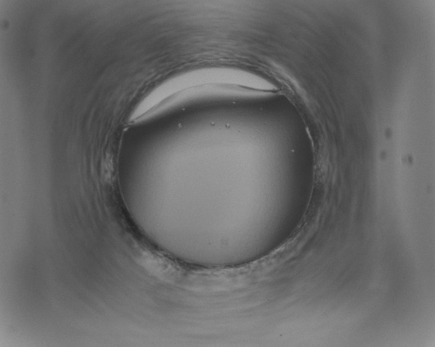 X0000071790025200607211633