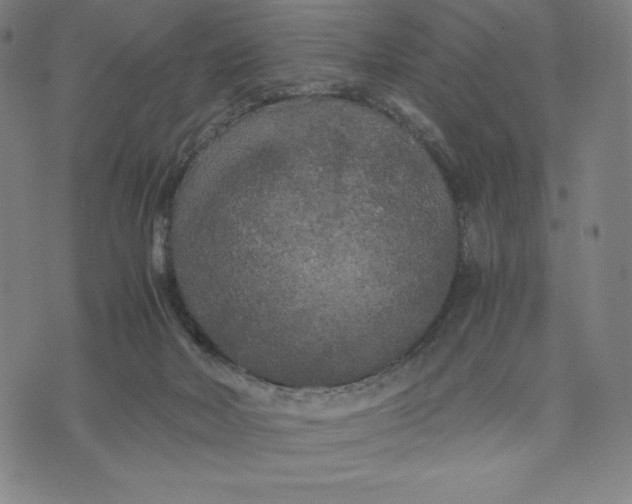 X0000071790026200607211633