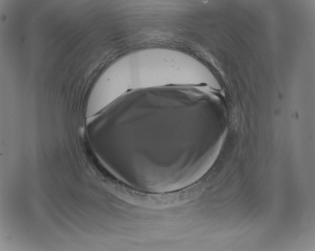 X0000071790027200607211633