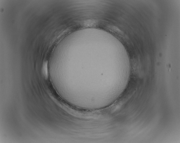 X0000071790028200607211633