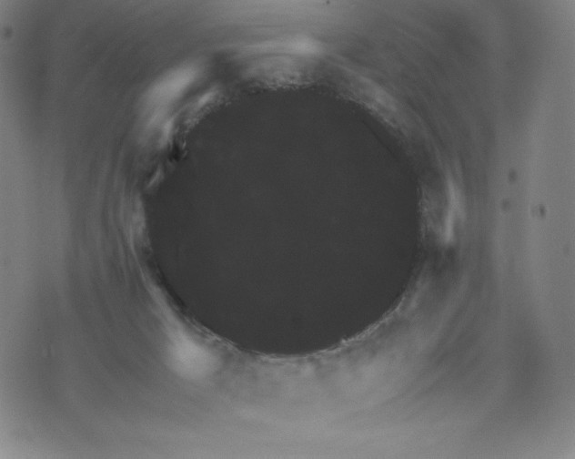 X0000071790029200607211633