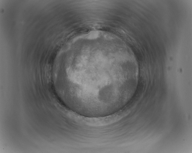 X0000071790030200607211633