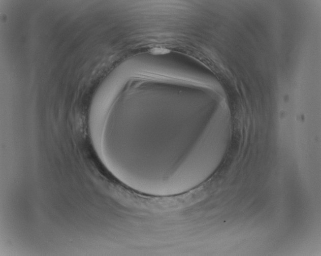 X0000071790031200607211633