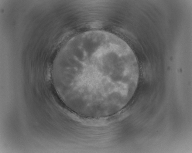 X0000071790032200607211633