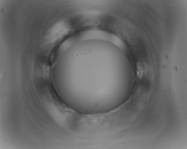 X0000071790033200607211633