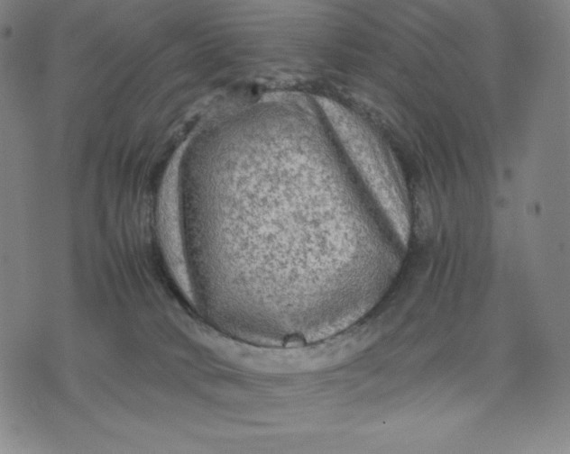 X0000071790034200607211633