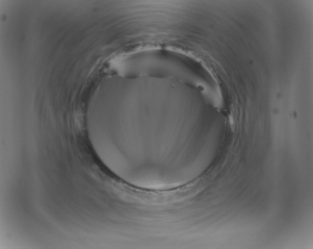 X0000071790035200607211633