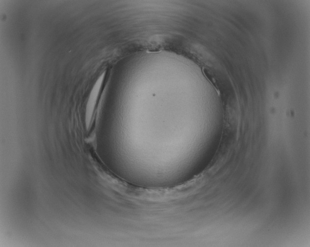 X0000071790037200607211633