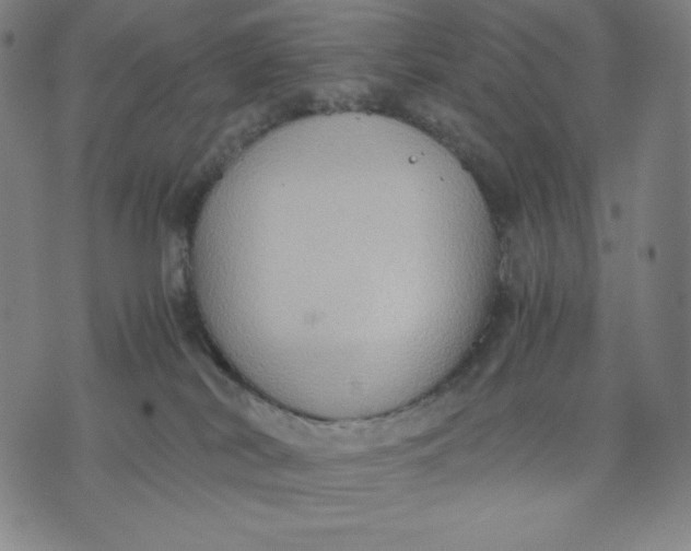 X0000071790038200607211633