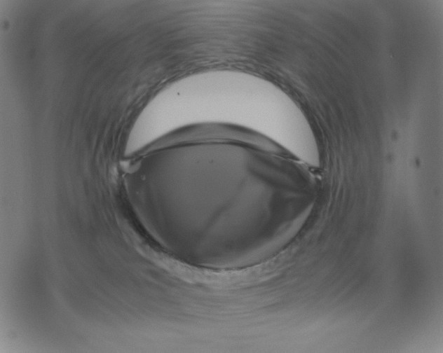 X0000071790039200607211633