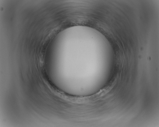 X0000071790040200607211633