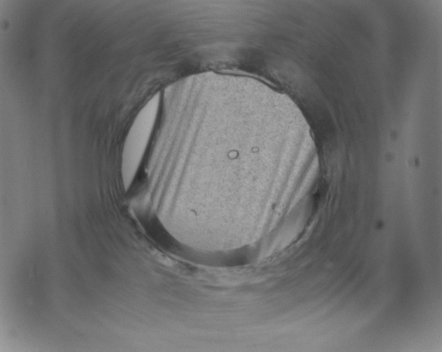 X0000071790041200607211633