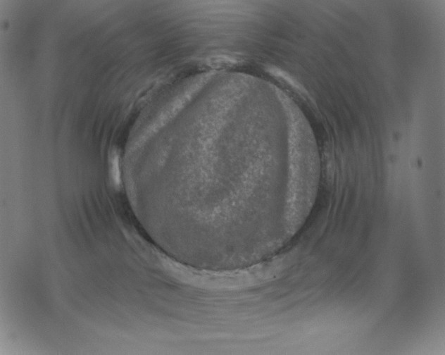 X0000071790042200607211633