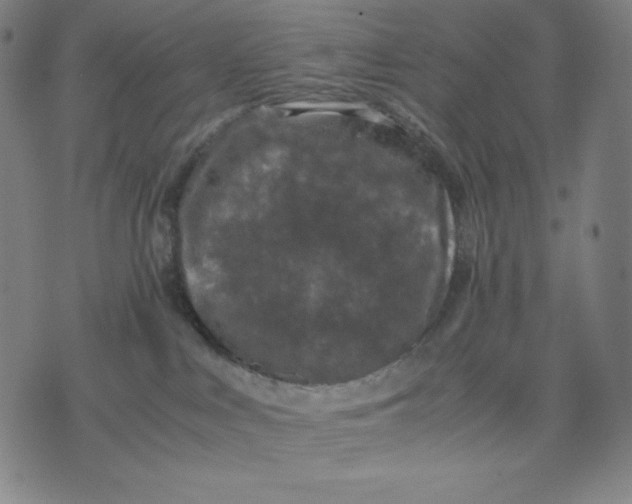 X0000071790043200607211633