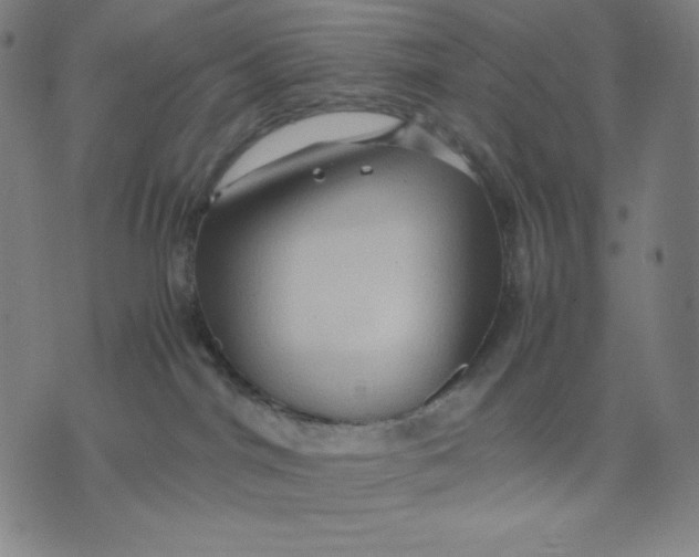 X0000071790044200607211633