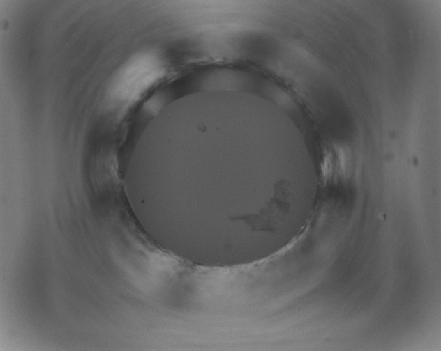 X0000071790045200607211633