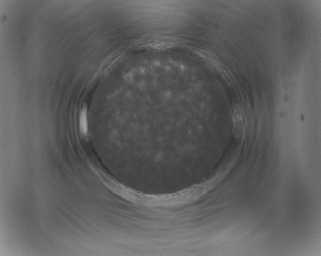 X0000071790046200607211633