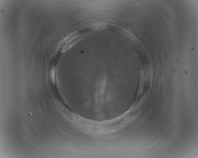 X0000071790047200607211633